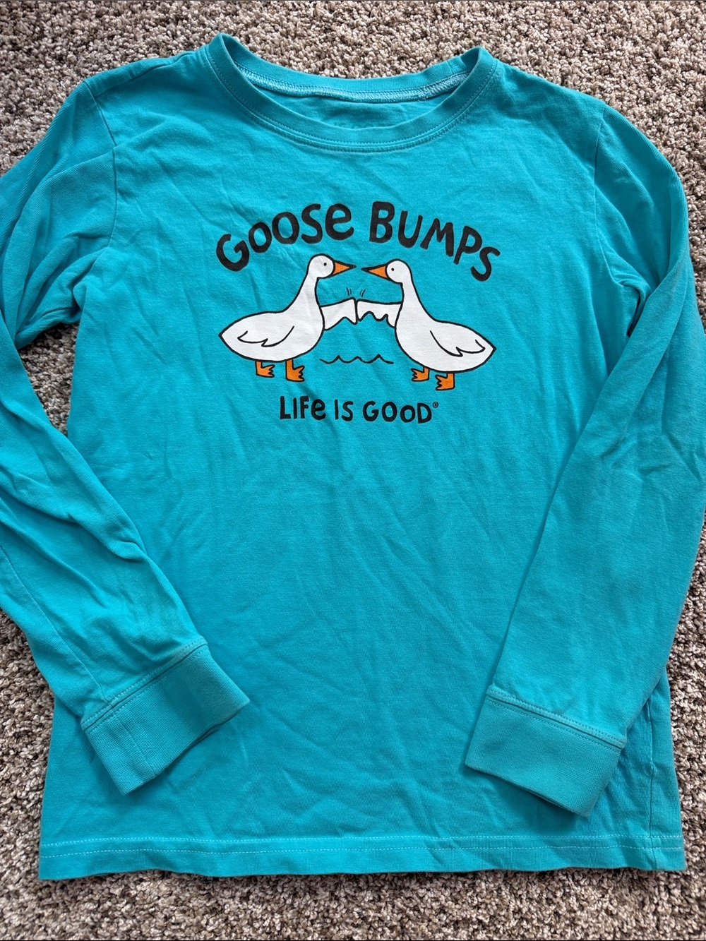 Life Is Good Kids Long Sleeve Teal 'Goose Bumps' Crusher Tee size large